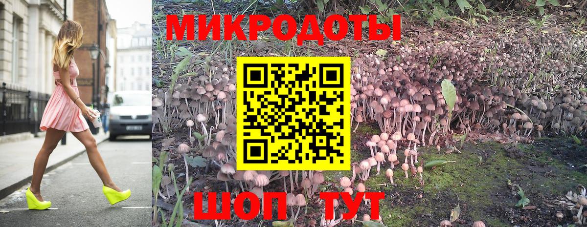 Псилоцибиновые грибы прущие грибы  Вход с VPN  Казань  Псилоцибиновые грибы GOLDEN TEACHER 